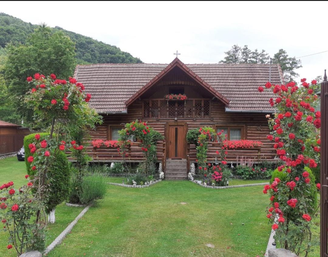 Casa Bunicii Hotel Costesti  Exterior foto